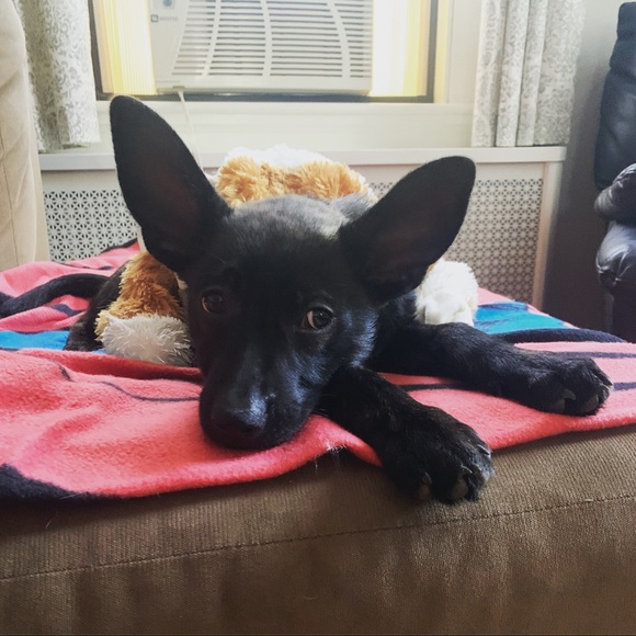 Hey I’m Ang! - Picture 2 of 6